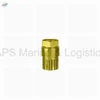 IS-21 Gun Metal Foot Valve
