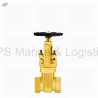 IS-31 Gun Metal Gate Valve