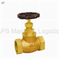 IS-34 Gun Metal Globe Valve
