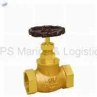IS-34A Gun Metal Globe Valve