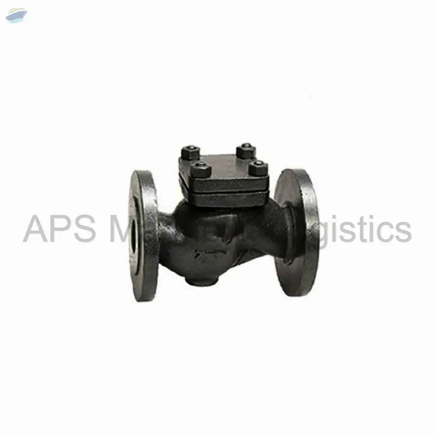 CI-3A Cast Iron Horizontal Check Valve
