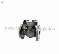 CI-3C Cast Iron Swing Check Valve