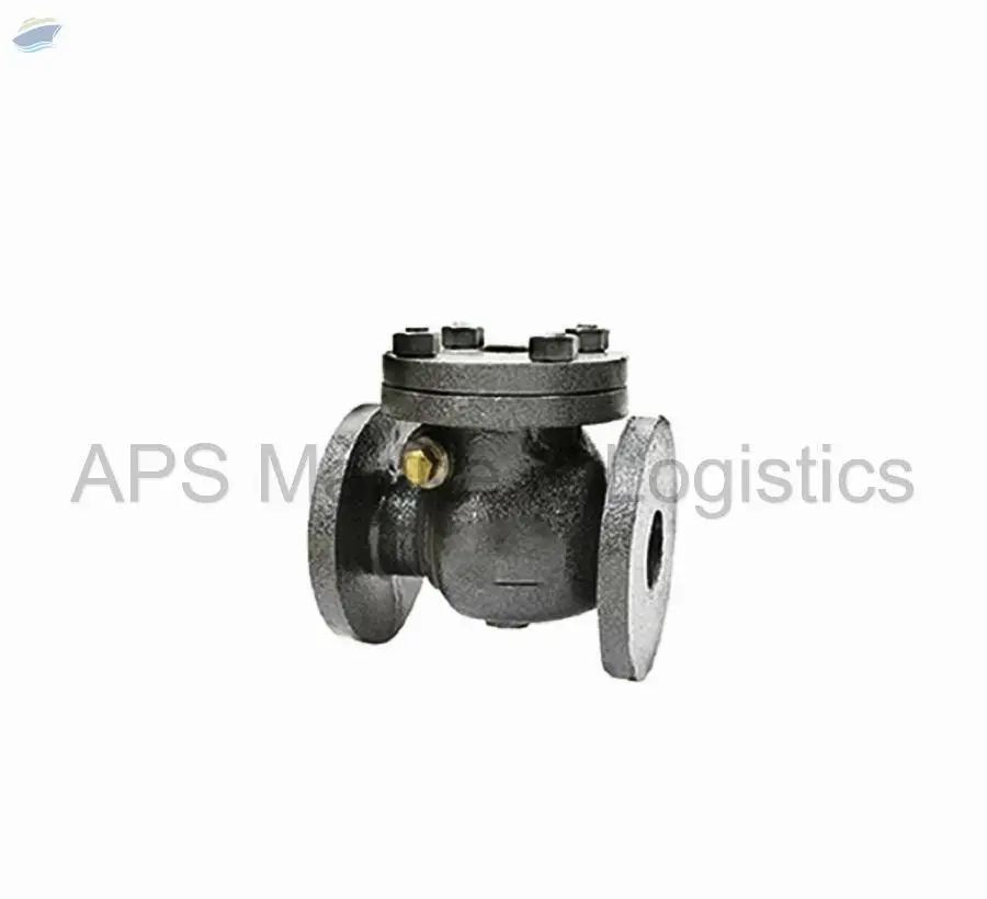 CI-3C Cast Iron Swing Check Valve