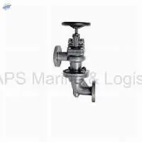 CI-5B Cast Iron Accessable Feed Check Valve