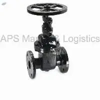 CR-19 Cast Iron Wedge Sluice Valve