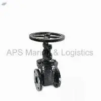 CR-20 Cast Iron Wedge Sluice Valve