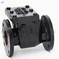 CR-31 Cast Iron Reflux Valve (Swing Check Type)