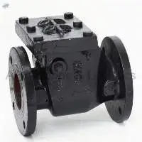 CR-31A Cast Iron Reflux Valve (Swing Check Type)
