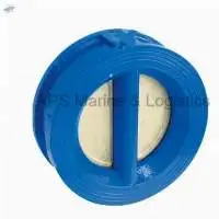 DP2 Dual Plate Water Check Valve