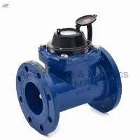 WM5 Sant Cast Iron Sewage Water Meter