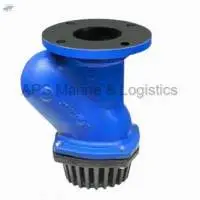 BFV C.I. Ball Foot Valve