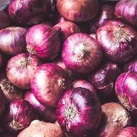 Fresh Onion
