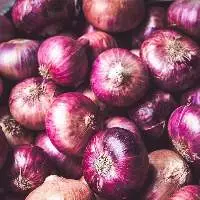 Fresh Onion