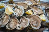 Canadian Hard-Shell Lobsters and Oysters