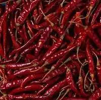 Red Chilli