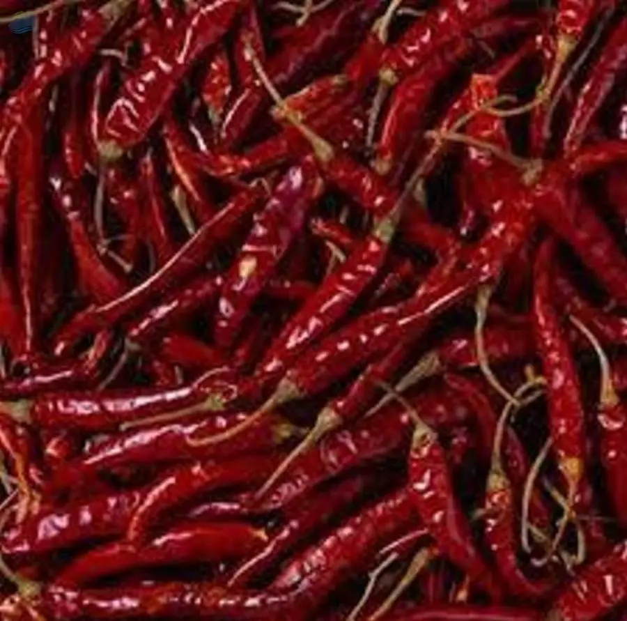 Red Chilli