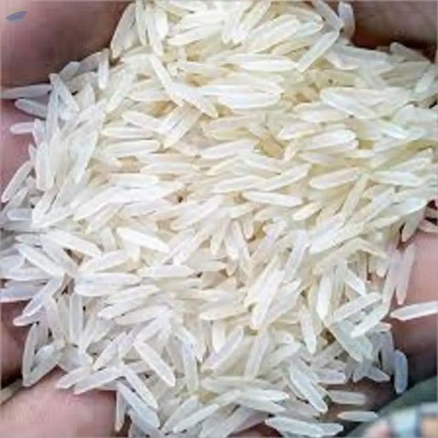 Rice
