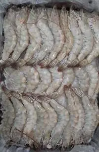 Vannami Shrimp And Black Tiger Prawn