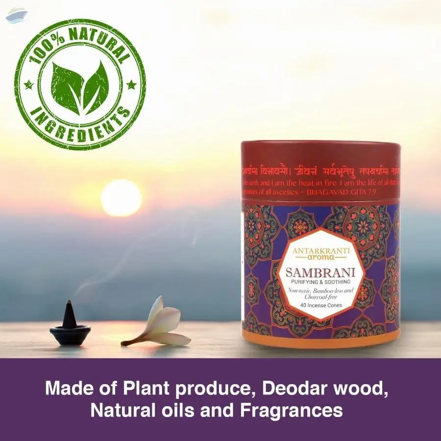 Sambrani Dry Dhoop Incense Cones