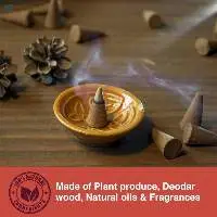 Awadh Aroma Gift Set