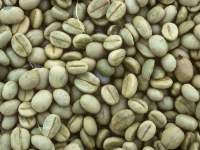Raw Coffee Beans (Robusta)