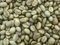 Raw Coffee Beans (Robusta)