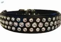 Dog Collar