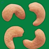 Scorched Wholes 240 Cashew Nuts