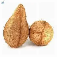 Coconuts