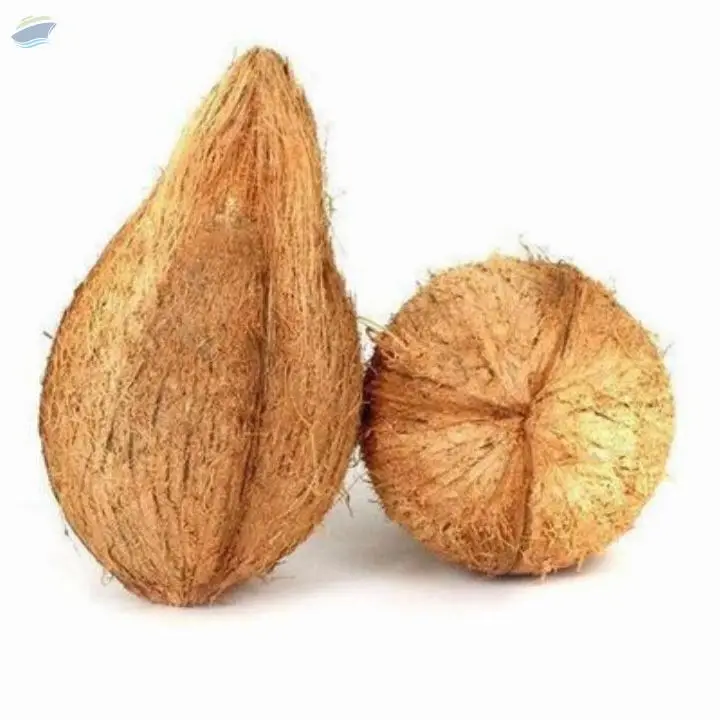 Coconuts