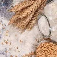 Wheat Flour