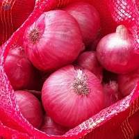 Fresh Onion