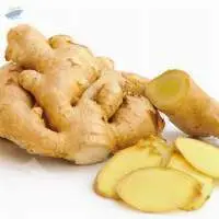 Ginger