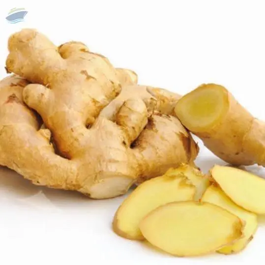 Ginger