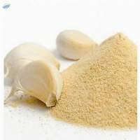 Garlic Powder
