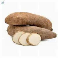 Yam Tuber