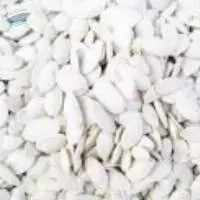 White Long Egusi Seed
