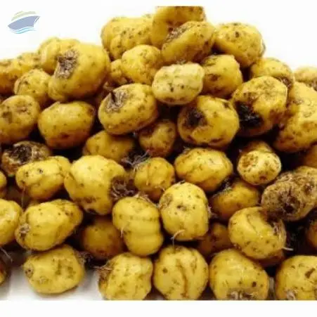 Fresh Tiger Nut