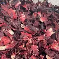 Hibiscus Flower