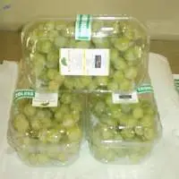 Fresh Table Grapes
