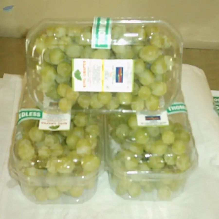 Fresh Table Grapes