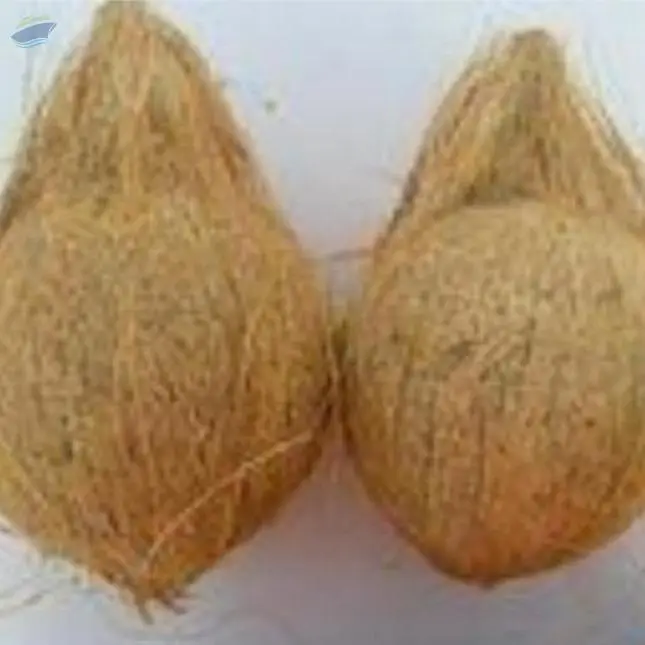 Fresh Semi Husked Coconut