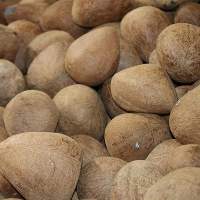 Coconut Copra