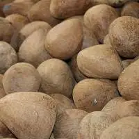 Coconut Copra