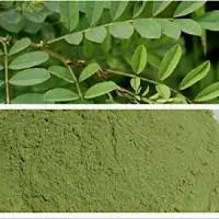 Indigo Powder