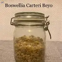Frankincense -Boswellia Carteri Beyo