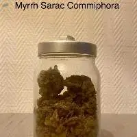Myrrh Sarac