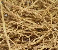 Vetiver Oil Java Crude (VT-001)