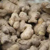 Fresh Ginger Oil (FG-001)