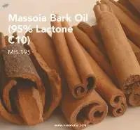 Massoia Bark Oil (MB-195) Van Aroma